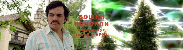 дурь Волосово