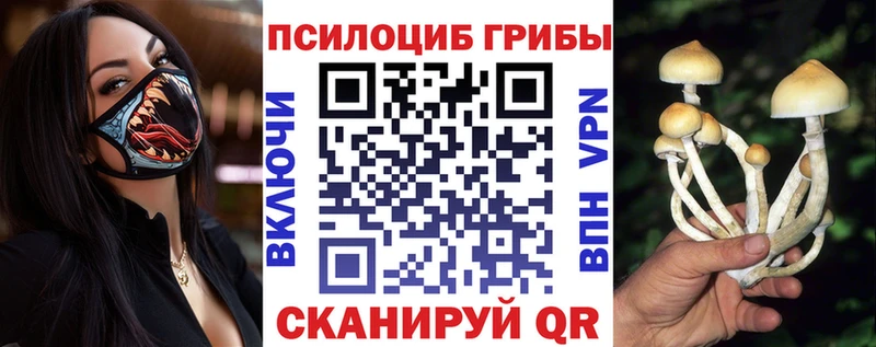 Псилоцибиновые грибы прущие грибы  Рассказово 